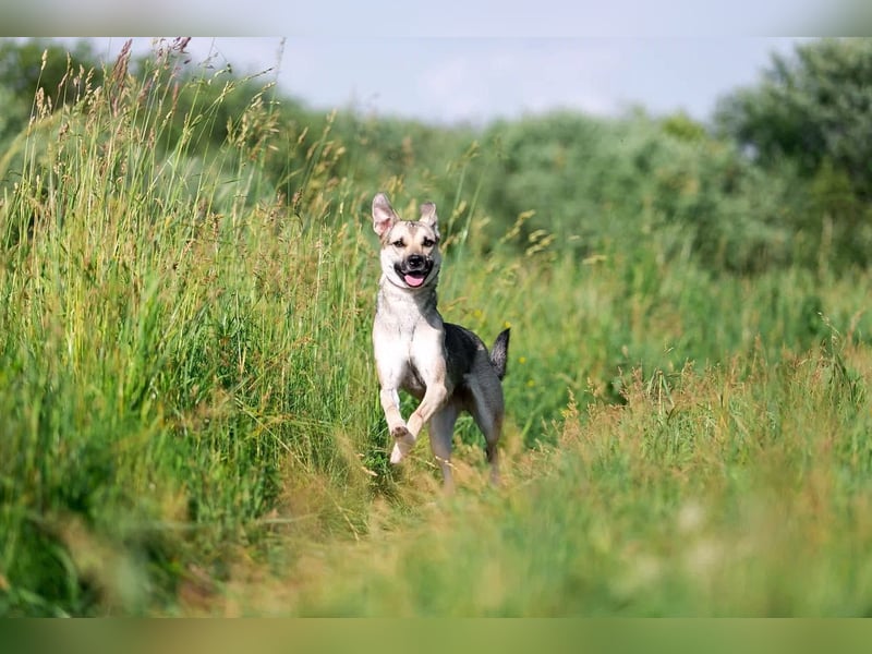 Mika sucht liebevolle Menschen