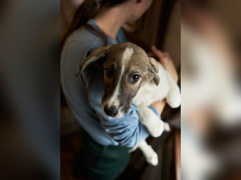 Wer will Harvi die Welt zeigen?!