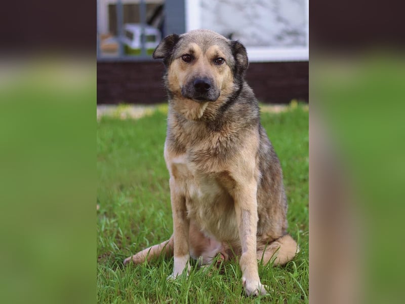 Lyon möchte endlich Liebe und wärme spüren