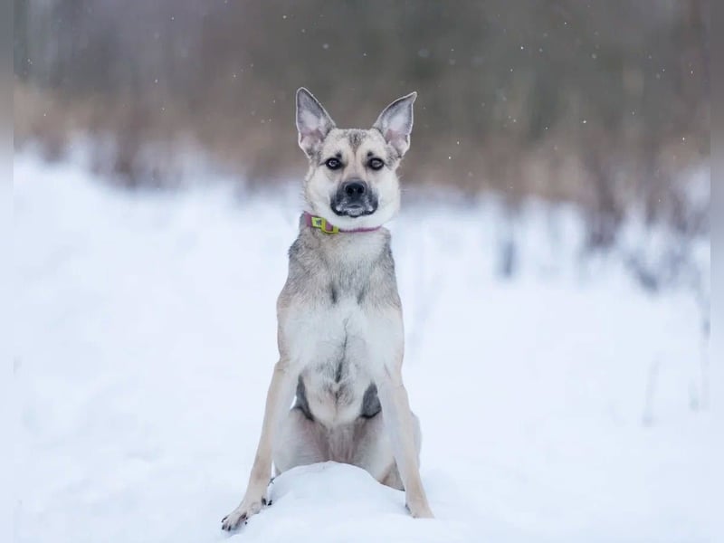 Mika sucht liebevolle Menschen
