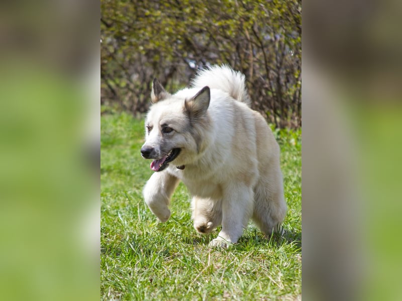 Sheila will liebe und Zuneigung