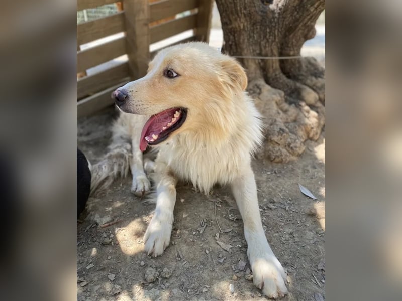 Bounty sucht ein passendes Zuhause