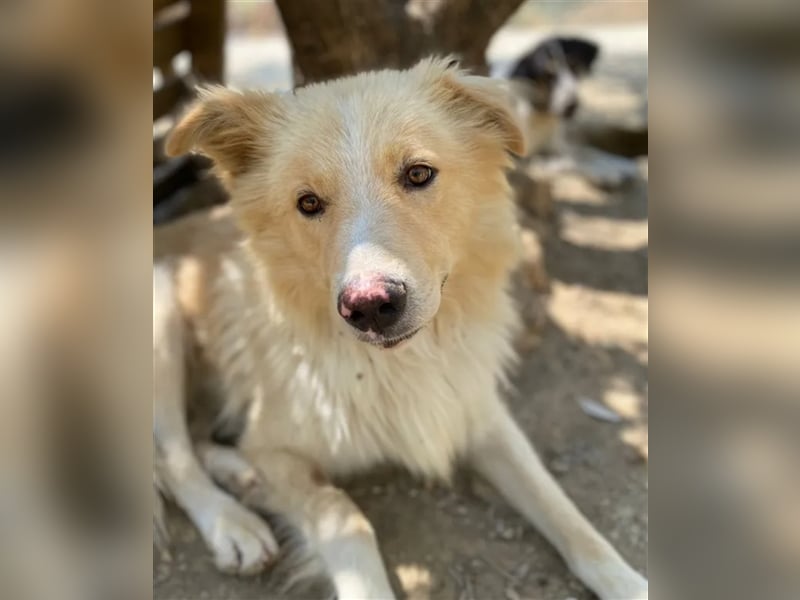Bounty sucht ein passendes Zuhause