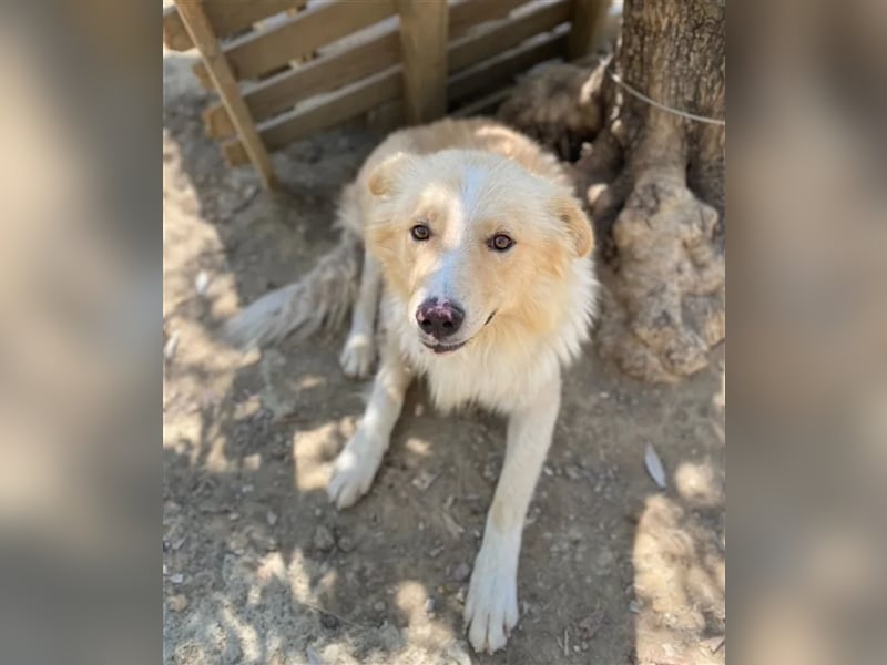Bounty sucht ein passendes Zuhause