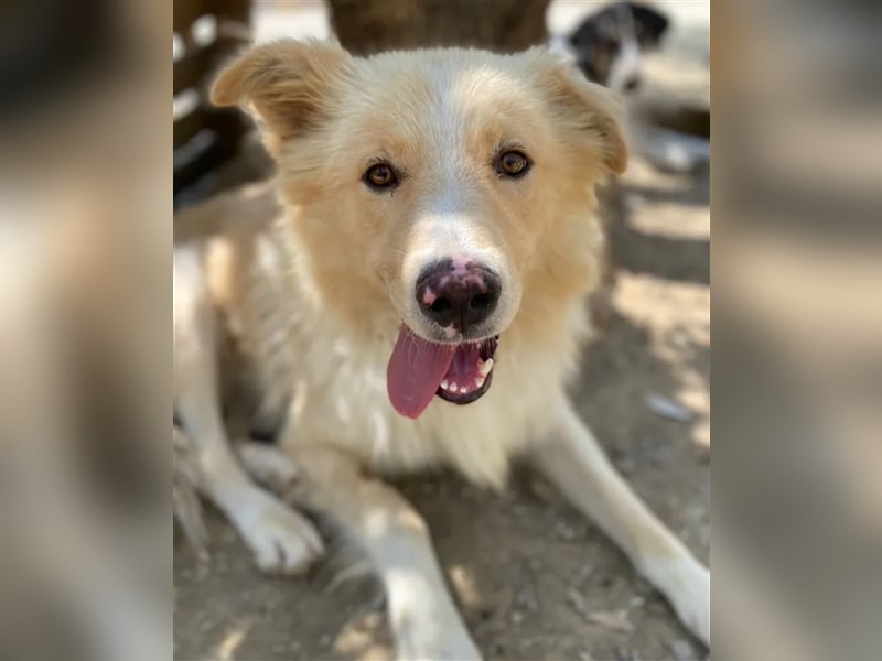 Bounty sucht ein passendes Zuhause