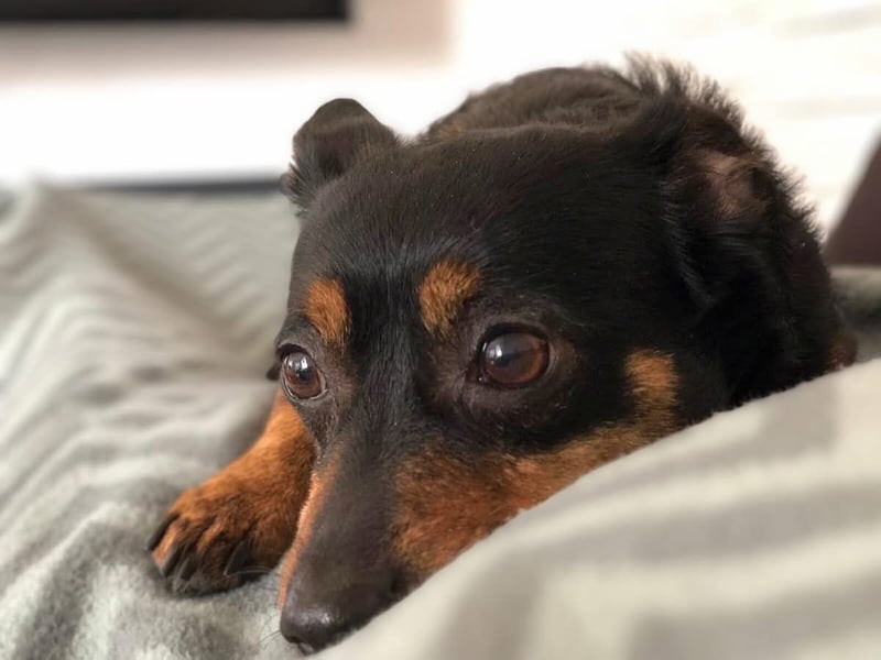 Emma - liebevolle Seniorin-Dame