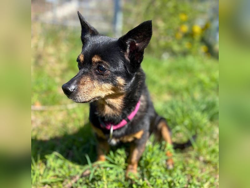 Emma - liebevolle Seniorin-Dame