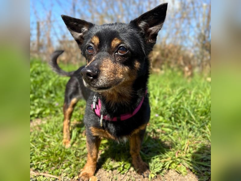 Emma - liebevolle Seniorin-Dame