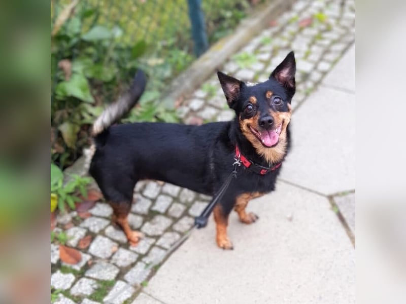 Emma - liebevolle Seniorin-Dame
