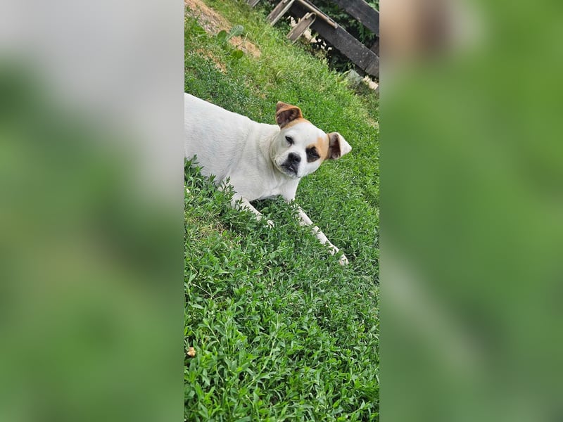 Mimi