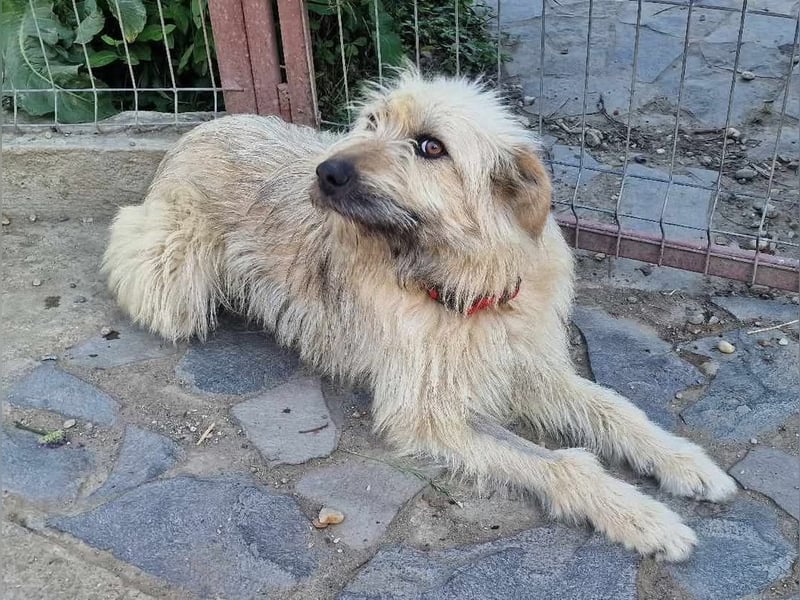 Marnie