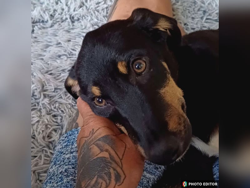 Elsa, kleiner Sonnenschein mit großem Herz