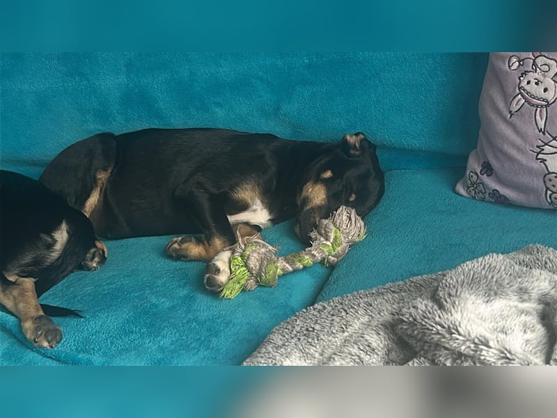 Elsa, kleiner Sonnenschein mit großem Herz