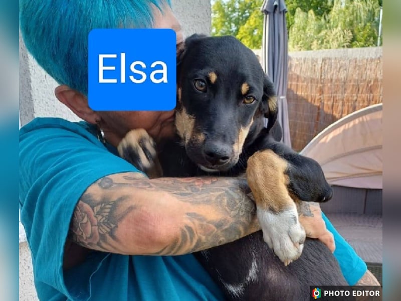 Elsa, kleiner Sonnenschein mit großem Herz