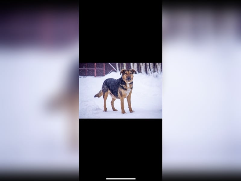 Marie (5j) sucht ein Zuhause