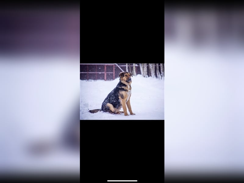 Marie (5j) sucht ein Zuhause