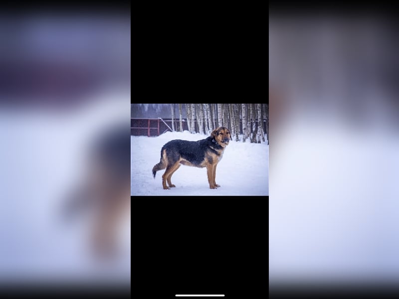Marie (5j) sucht ein Zuhause