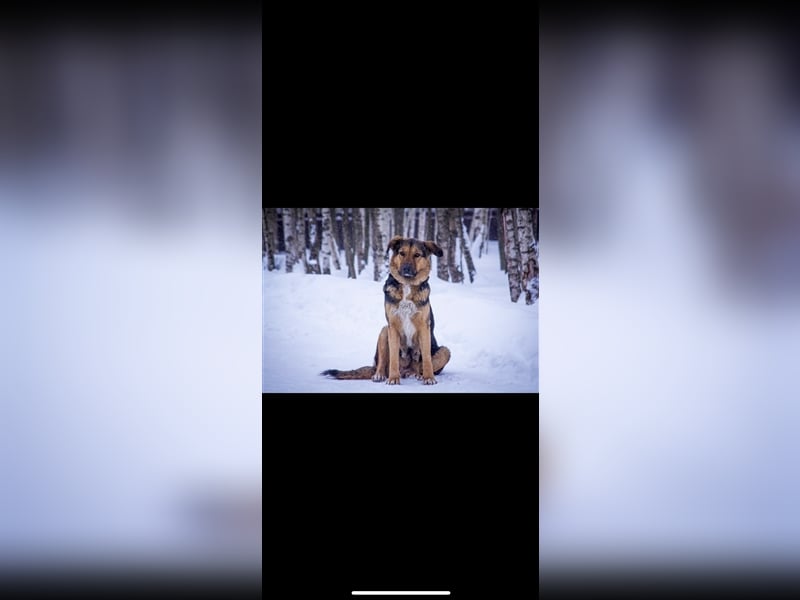 Marie (5j) sucht ein Zuhause