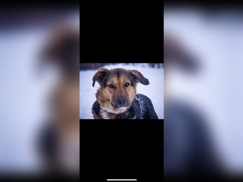 Marie (5j) sucht ein Zuhause