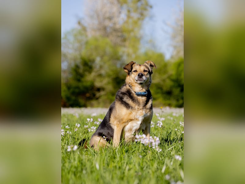 Mimi - 76189 Karlsruhe