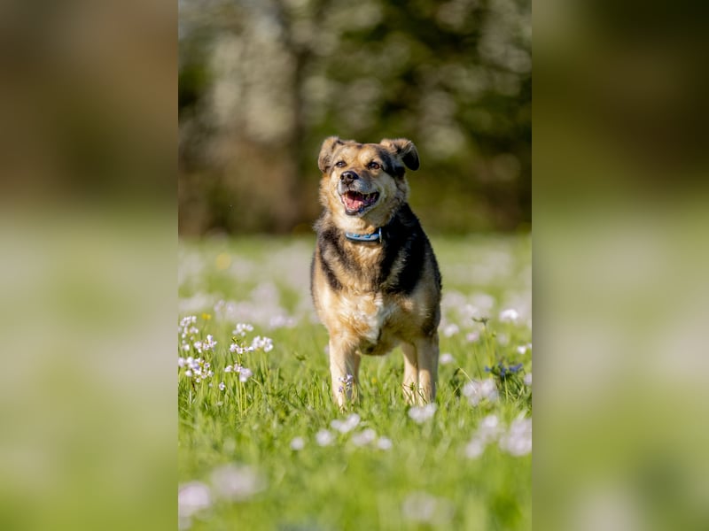 Mimi - 76189 Karlsruhe