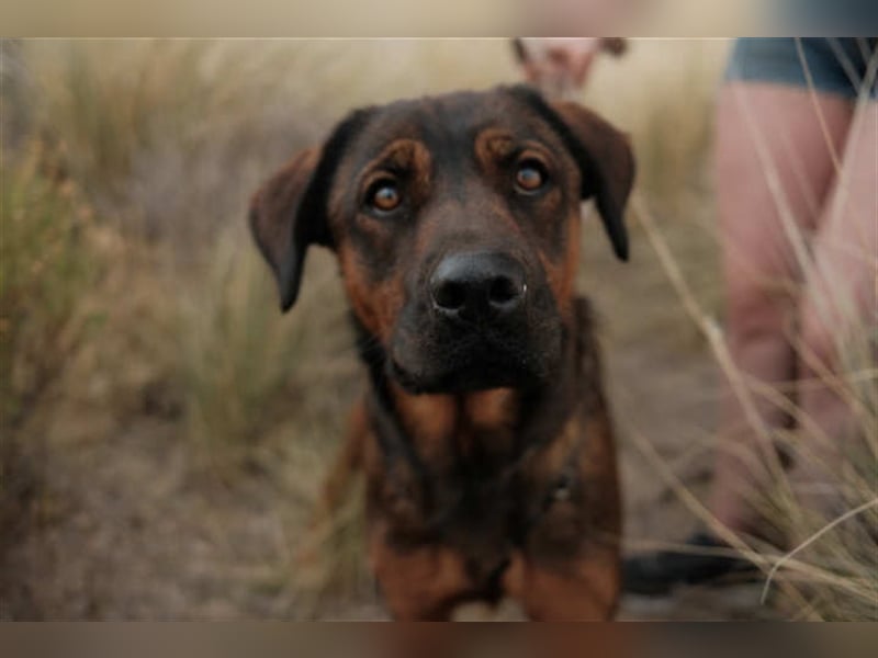 Ozuna sucht Begleiter fürs Leben!