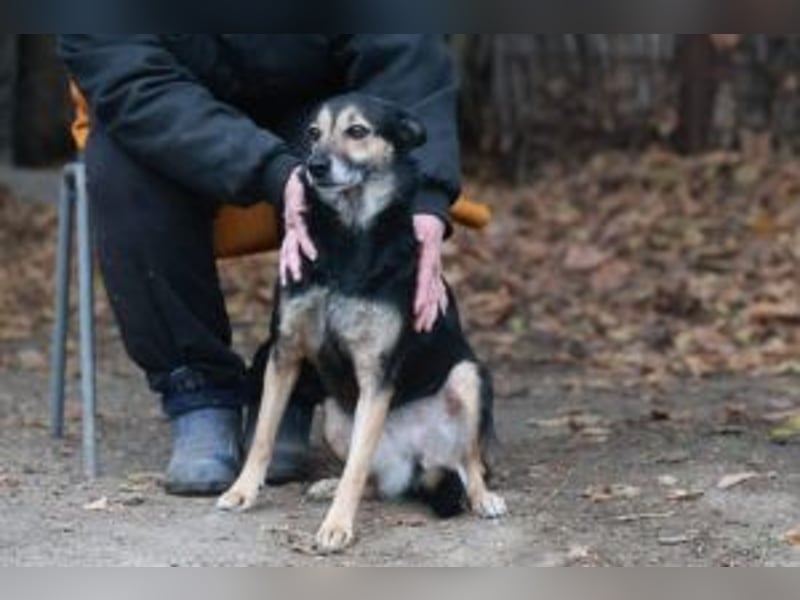 Update: ELLA - Verträglich, aber noch etwas schüchtern