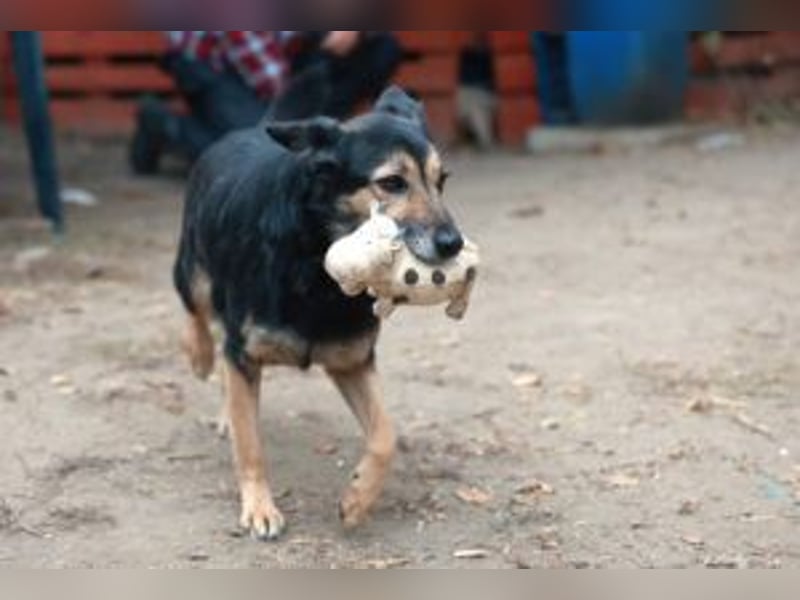 Update: ELLA - Verträglich, aber noch etwas schüchtern