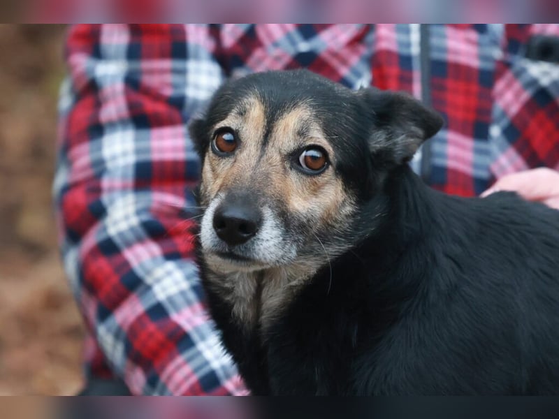 Update: ELLA - Verträglich, aber noch etwas schüchtern