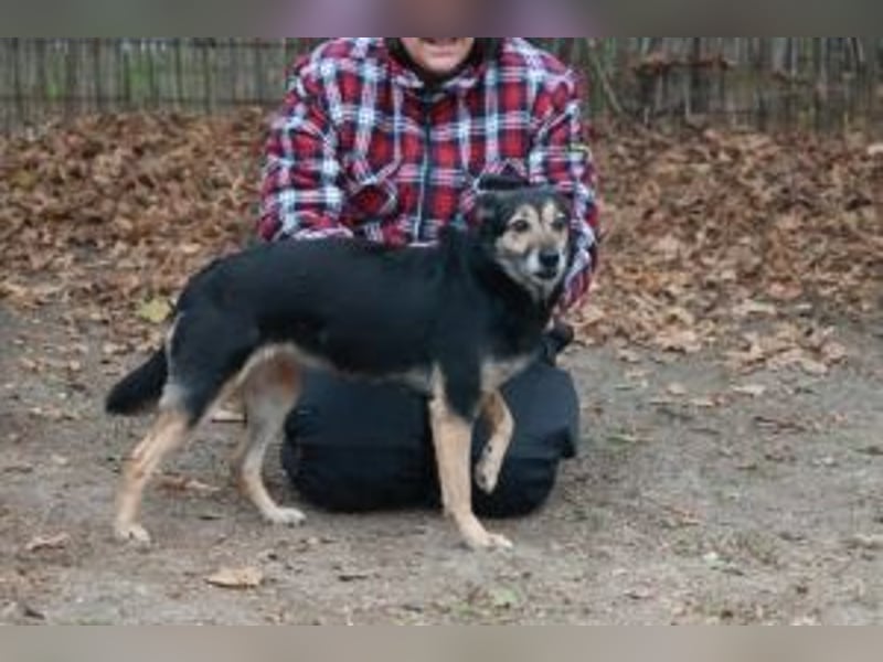 Update: ELLA - Verträglich, aber noch etwas schüchtern