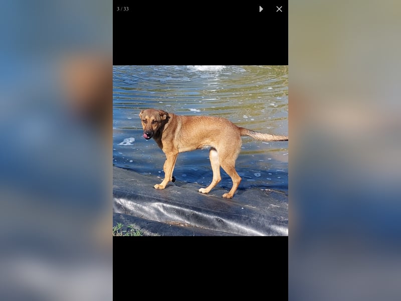 Lola wer hilft ihr beim entdecken der Welt?