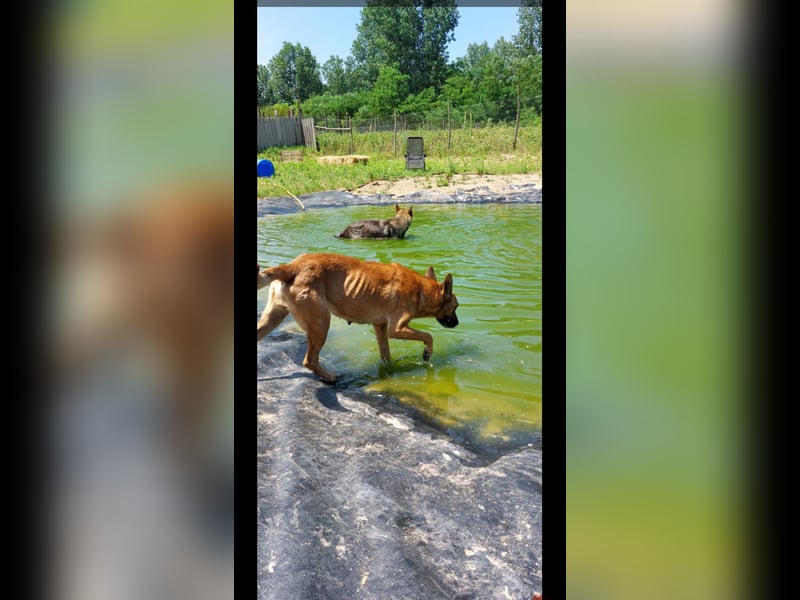 Lady treue Begleiterin sucht dich