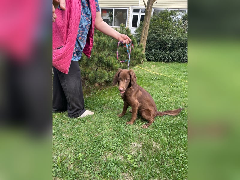 Tolle Molly ist lieb und klug!