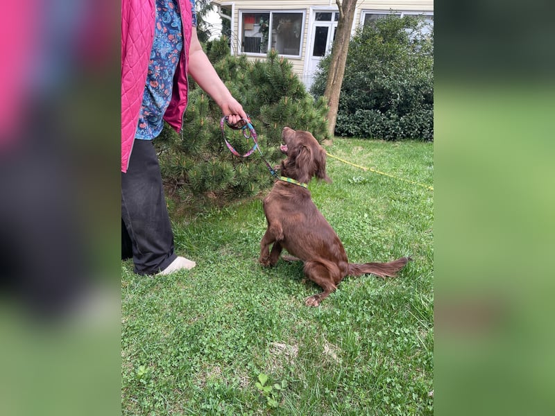 Tolle Molly ist lieb und klug!