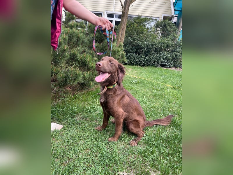 Tolle Molly ist lieb und klug!