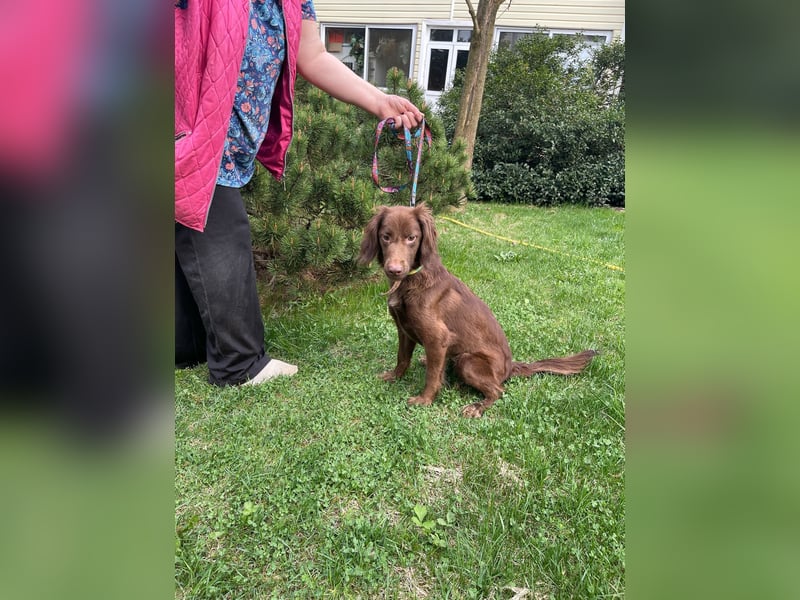 Tolle Molly ist lieb und klug!
