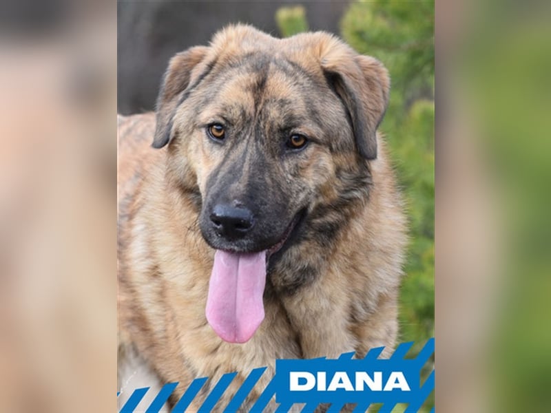 Diana