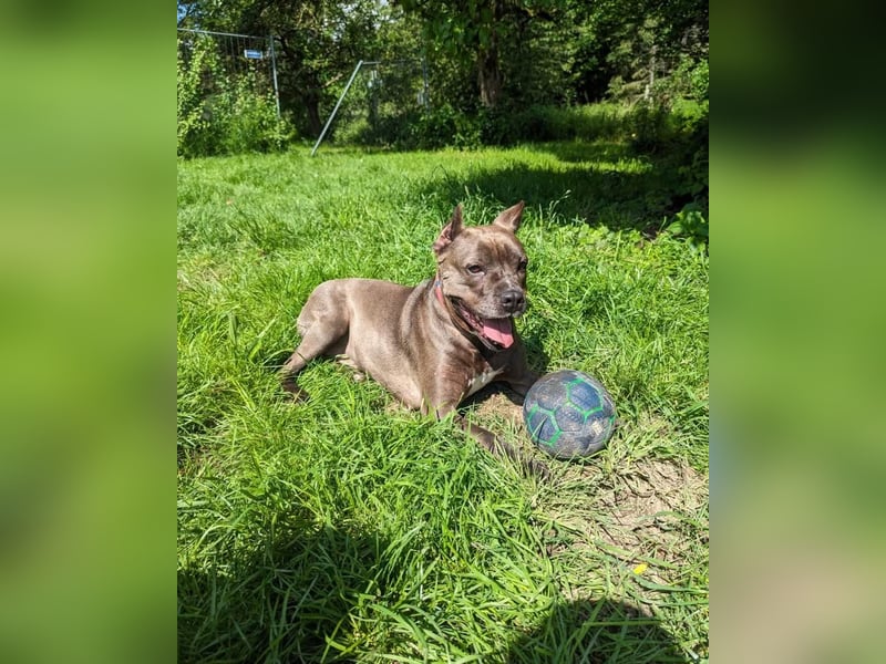Arlette sucht Gnadenplatz