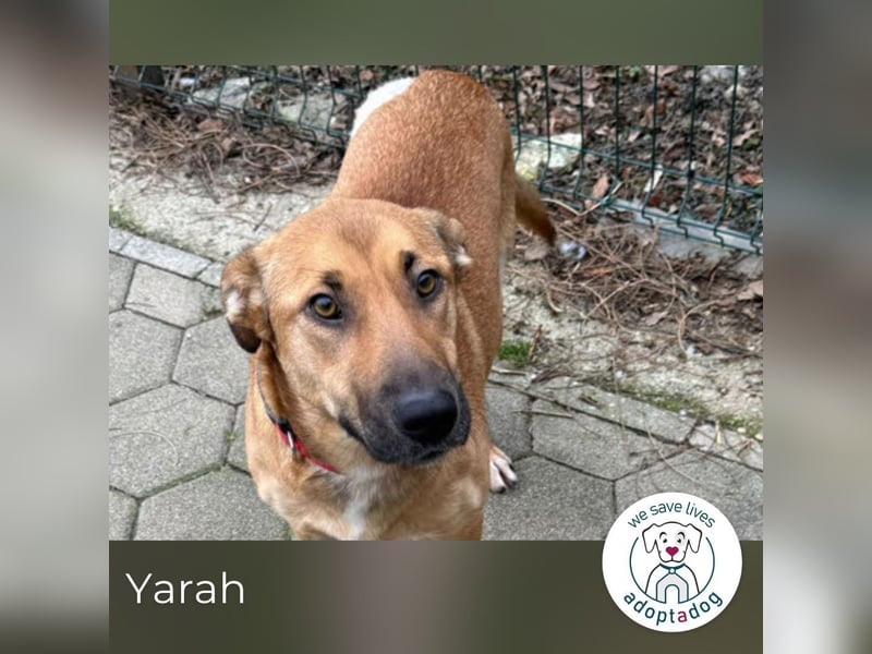 Yarah: Sucht ihre Familie
