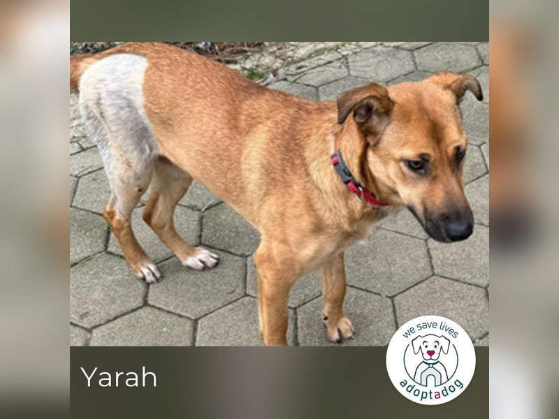 Yarah: Sucht ihre Familie