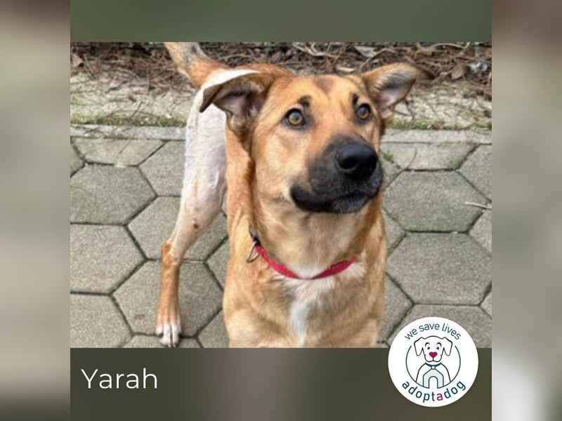 Yarah: Sucht ihre Familie