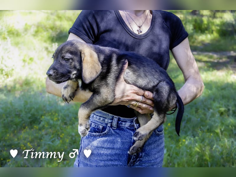Timmy und Isabel suchen ein Zuhause