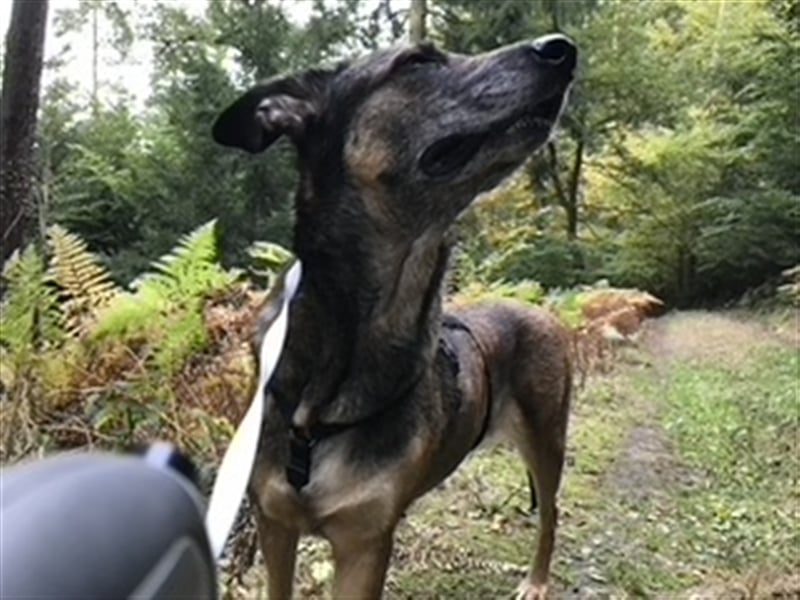 Kira 