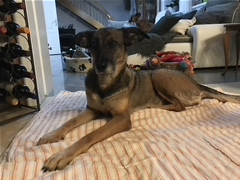 Kira 