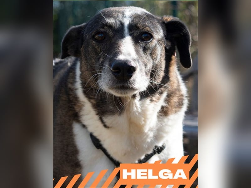Helga