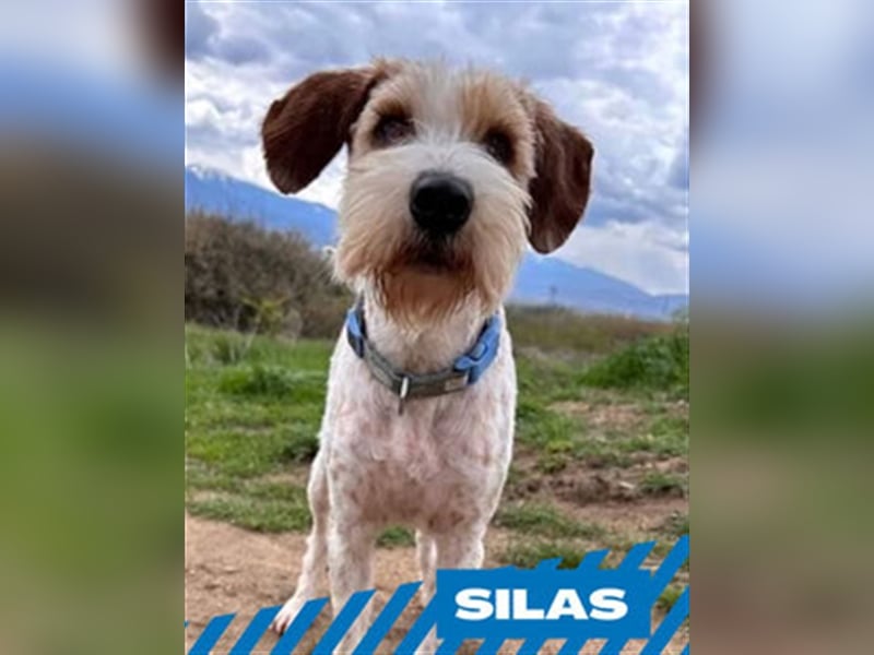 Silas