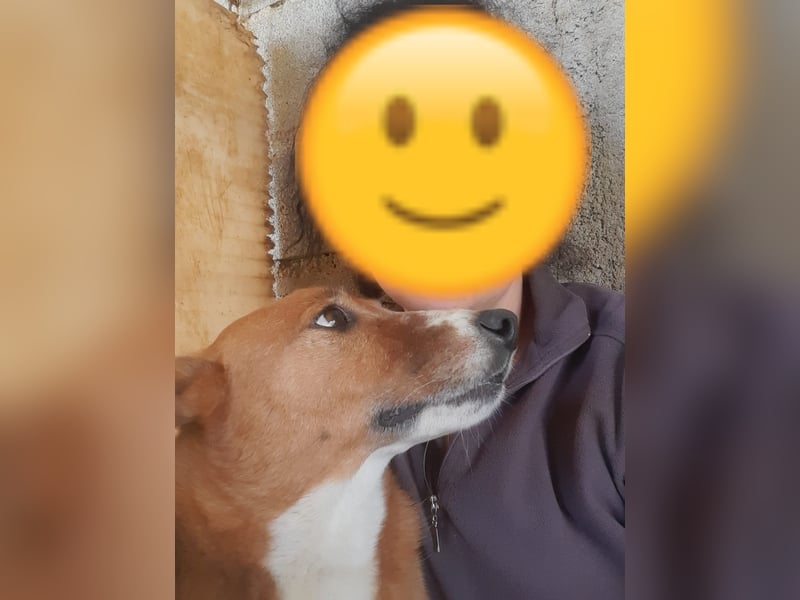 ❤️ZAYA❤️
