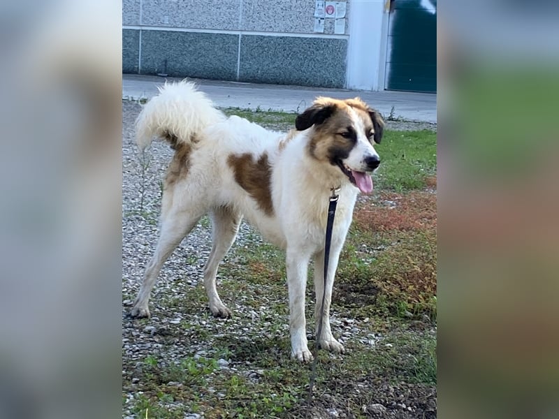 Luna sucht ihr Glück