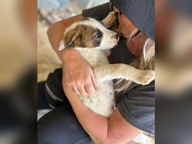 Daphne sucht Traumfamilie!