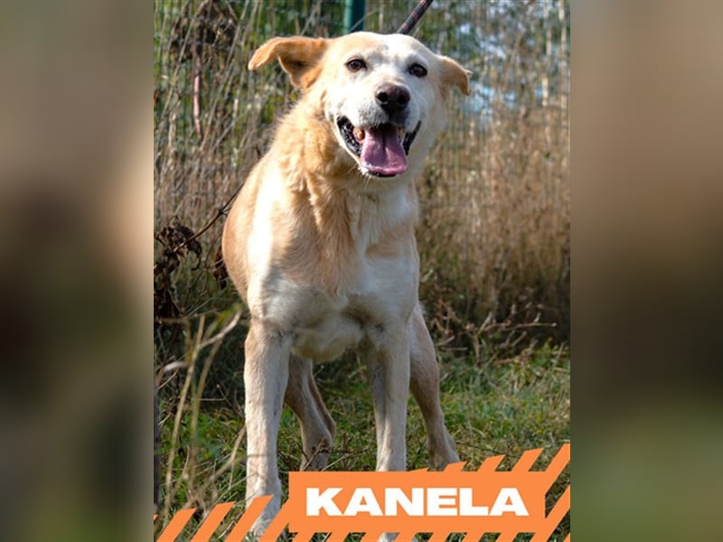 Kanela
